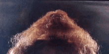 Bigfoot Sasquatch GIF - Bigfoot Sasquatch Boggycreekcreature GIFs