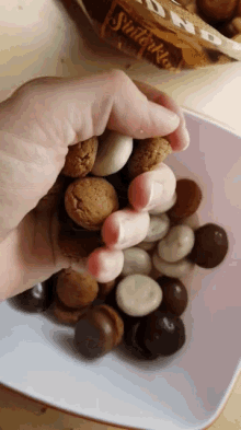kruidnoten chocolade pepernoten sinterklaas