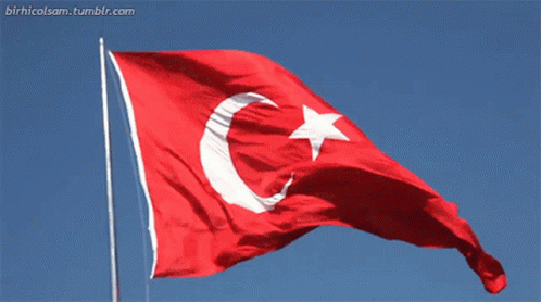 Turkey Flag GIF - Turkey Flag Waving - Discover & Share GIFs