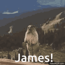 Yelling James Beaver GIF - Yelling James James Yelling GIFs