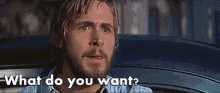 What Do You Want GIFs Tenor