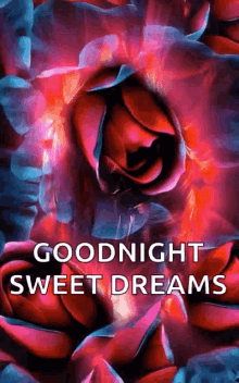 goodnight sweet dreams rose flower