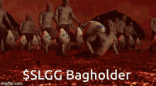 slgg bagholder slgg bagholder