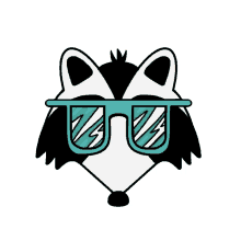 fat raccoon