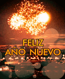 Feliz Año Nuevo GIF - Feliz Ano Nuevo Happy New Year Fireworks GIFs