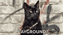 Playground Meow GIF - Playground Meow Chrome GIFs