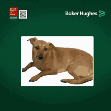 Baker Baker Hughes GIF - Baker Baker Hughes GIFs