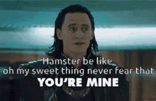 Loki Hamster GIF - Loki Hamster Like GIFs