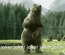 Joker Bear GIF - Joker Bear Bear Dance GIFs