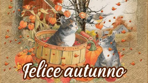 Ottobre Autunno Felice Autunno Buon Autunno Gatti Foglie GIF - October  Autumn Happy Autumn - Discover &amp; Share GIFs