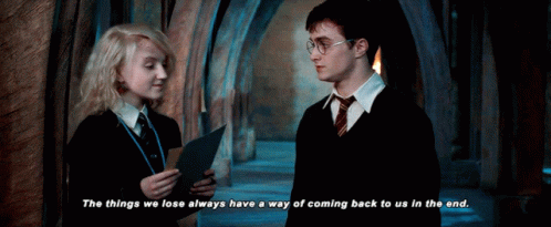 Harry Potter Things GIF - Harry Potter Things Lose - Descubre & Comparte  GIFs