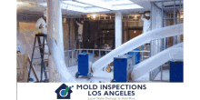 mold inspection in la mold inspections los angeles mold inspection in la mold inspections los angeles