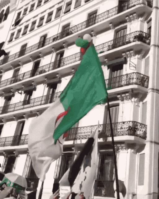 drapeau-dz-algeria-flag.gif