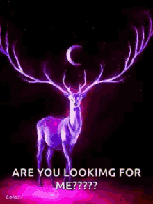 free funny animated gifs hunting deer free funny animated gifs hunting deer