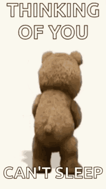 Ted Drink GIF - Ted Drink Booze GIFs