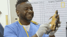 Cleaning A Turtle Critter Fixers GIF - Cleaning A Turtle Critter Fixers Turtle GIFs