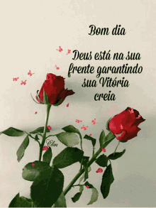 Bom Dia Red Roses GIF - Bom Dia Red Roses Butterflies GIFs
