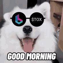 Tox Tox Token GIF - Tox Tox Token Tox Nft GIFs