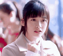 shen yue shancai dong dongshancai
