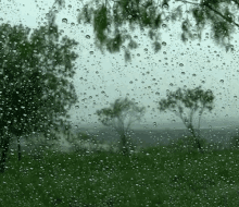 Rain Wind GIF - Rain Wind Stom GIFs