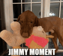 Jimmy Jimmy Dog GIF - Jimmy Jimmy Dog Adamada246 GIFs