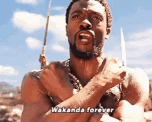 Black Panther Wakanda Forever GIF - Black Panther Wakanda Forever Chadwick Boseman GIFs
