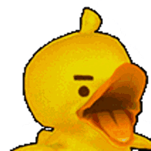 angry mad duck shaking rage angry mad duck shaking rage