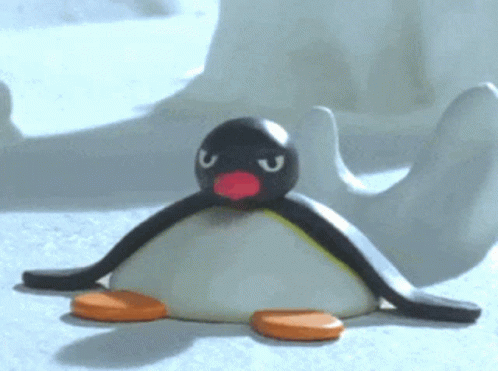 Pingu Mad Stare GIF - Pingu Mad Stare Angry GIFs