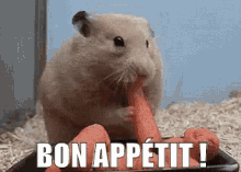 Bon Appétit GIF - Bon Appétit Bon Ap GIFs