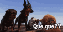 Que Pedo GIF - Up Dogs GIFs