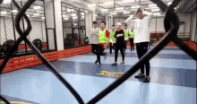 seventeen tiger