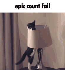 count fail epic count fail cat fall cat fail count