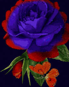 Flower Rose GIF - Flower Rose Changing Color GIFs