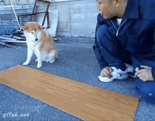 dog dog helper dog tricks