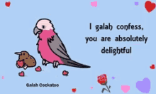 Bird You Are Delightful GIF - Bird You Are Delightful Birdcheese GIFs