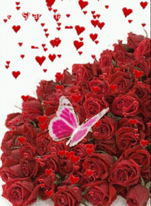 गुलाब तितलियाँ GIF - गुलाब तितलियाँ दिल GIFs