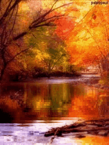 Fall Stream GIF - Fall Stream Tree GIFs