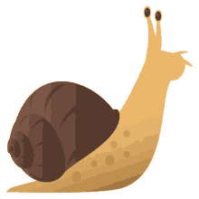nature snail