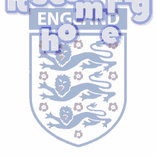 England Flag GIF - England Flag Euro2020 GIFs