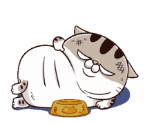 ami fat cat ami cat fgcat hungry starving