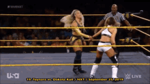 taynara whf taynara hpw