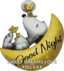 Good Night Snoopy Images Gifs Tenor