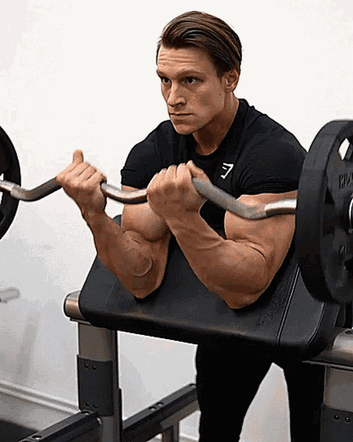 Bodybuilding Biceps GIF - Bodybuilding Biceps Workout GIFs