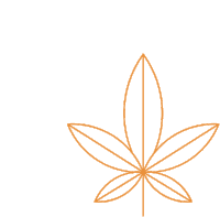 Canncura Cannabis Sticker - Canncura Cannabis Weed Stickers