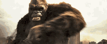 Godzilla Vs Kong King Kong GIF - Godzilla Vs Kong Kong King Kong GIFs