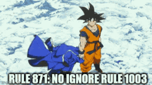 Rules Goku GIF - Rules Rule Goku GIFs