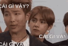 understand kook