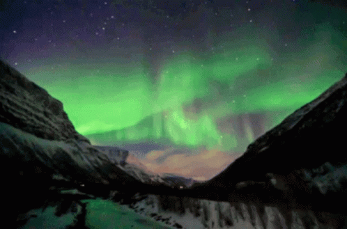 Rasende håndtag stress Aurora Borealis Northern Lights GIF - Aurora Borealis Northern Lights -  Discover & Share GIFs