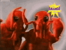 Dancinglobsters Animal GIF - Dancinglobsters Lobsters Animal GIFs