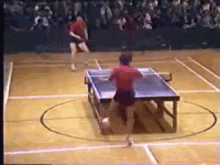 Ping Pong GIF - GIFs